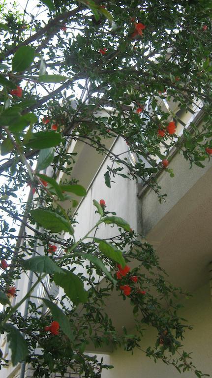Apartments Grzunov Zadar Luaran gambar